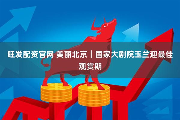 旺发配资官网 美丽北京｜国家大剧院玉兰迎最佳观赏期