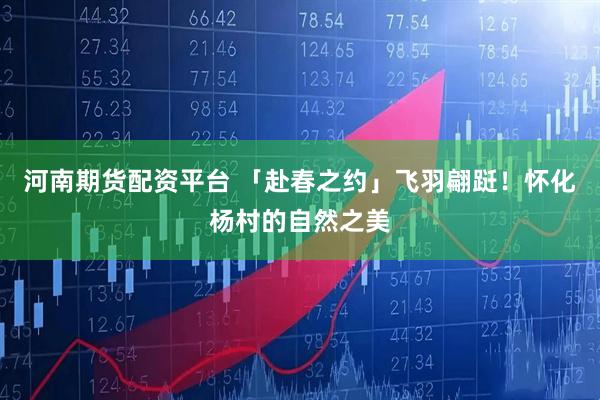 河南期货配资平台 「赴春之约」飞羽翩跹！怀化杨村的自然之美